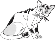 Rýmák v Into the Woods