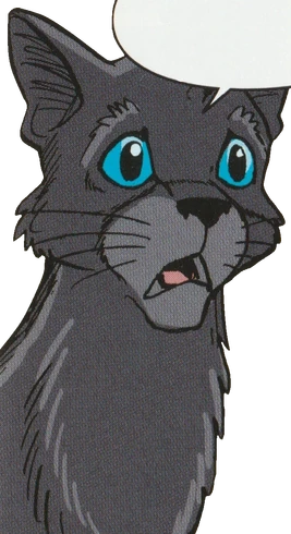 Rainwhisker2