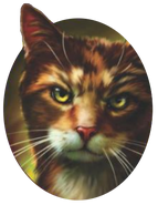 Spotted1.png (152 KB) Tečka na obalu Spottedleaf's Heart