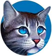 Sojkotlapka na starém obalu knihy Eclipse