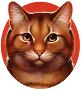 Leafpool3.png (1,36 MB) Lístečka na starém obalu The Forgotten Warrior