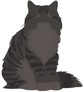 Willowshine.silhouette.webp (9 KB)