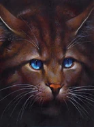 Jestřáb v The Ultimate Guide