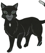 Havran ve Válečníkův návrat