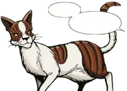 Listohvězda v SkyClan and the Stranger