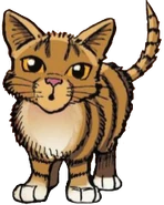 Leafpool2.png (76 KB) Lístečka v Ravenpaw's Path