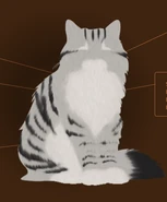 Feather8.png (155 KB) Pírka na oficiálním webu