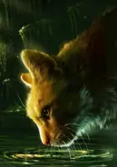 Lvíčkotlapka na obalu knihy Temná řeka