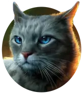 Husipírko na obalu knihy