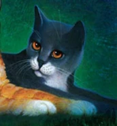 Rýmák v The Ultimate Guide