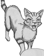 Longtail1.png (263 KB)