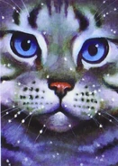 Feather6.png (952 KB) Pírka na starém obalu knihy Východ měsíce