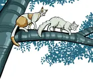Zářenka a Bílý mrak v knize A Thief in ThunderClan