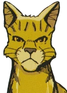 Kapraď v Ravenpaw's Path