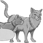 Lionheart.SE-2.png (870 KB) Lev v Bluestar's Prophecy