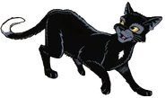 Havran v Ravenpaw's Path