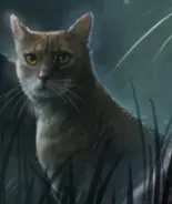 Listohvězda na obalu Shadow