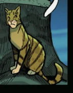 Onewhisker1 (2).jpg (71 KB) Jednofousek v Winds of Change