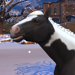 Dani Davila | ValerixClub Wiki | Fandom