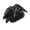 Голова п’явки