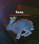 Двухзвездочный заяц