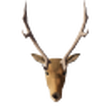 Deer trophy hotsell