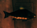 Giant herring