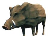 Kanec