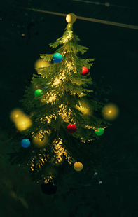 Yule tree at night
