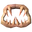 xpx