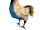 Hen