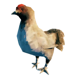 Курица