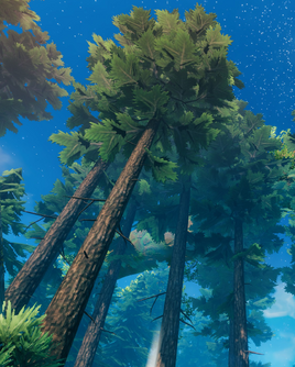 Pine
