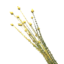 valheim flax valheim flax