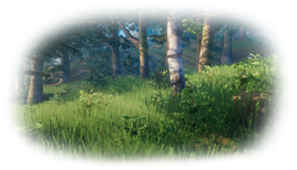 Biome meadows