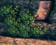 Семена плюща | Valheim Вики | Fandom