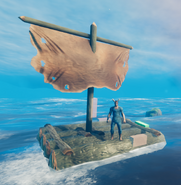 Raft