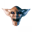 xpx