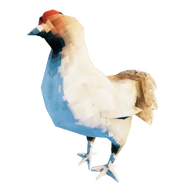 Hen1.png (425 KB) White Hen