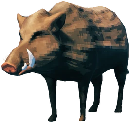 Sanglier