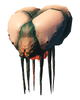 Gjall