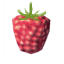 Frambuesas