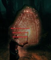 Swamp skeleton lore.jpg