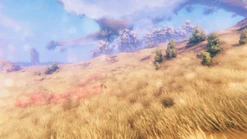 Поля равнин