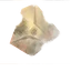 64