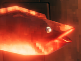 Coral cod