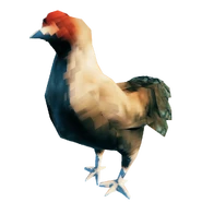 Hen3.png (462 KB) White and Brown Hen