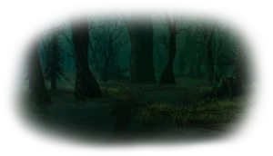 Болото
