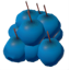 Arándanos