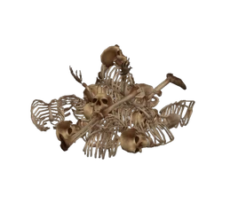 Evil bone pile appearance